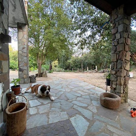 Agriturismo Pranu Sorgono Kültér fotó