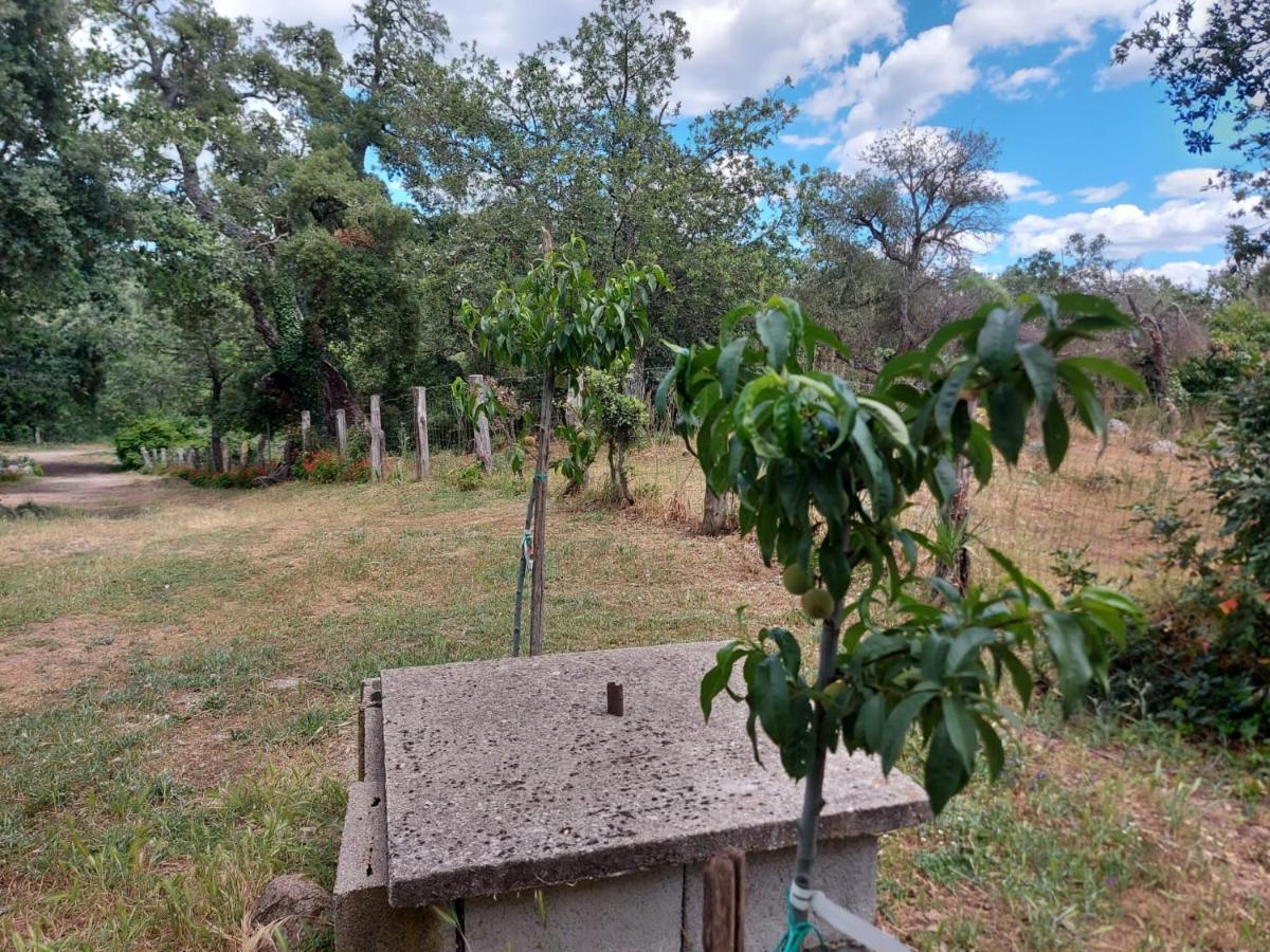 Agriturismo Pranu Sorgono Kültér fotó