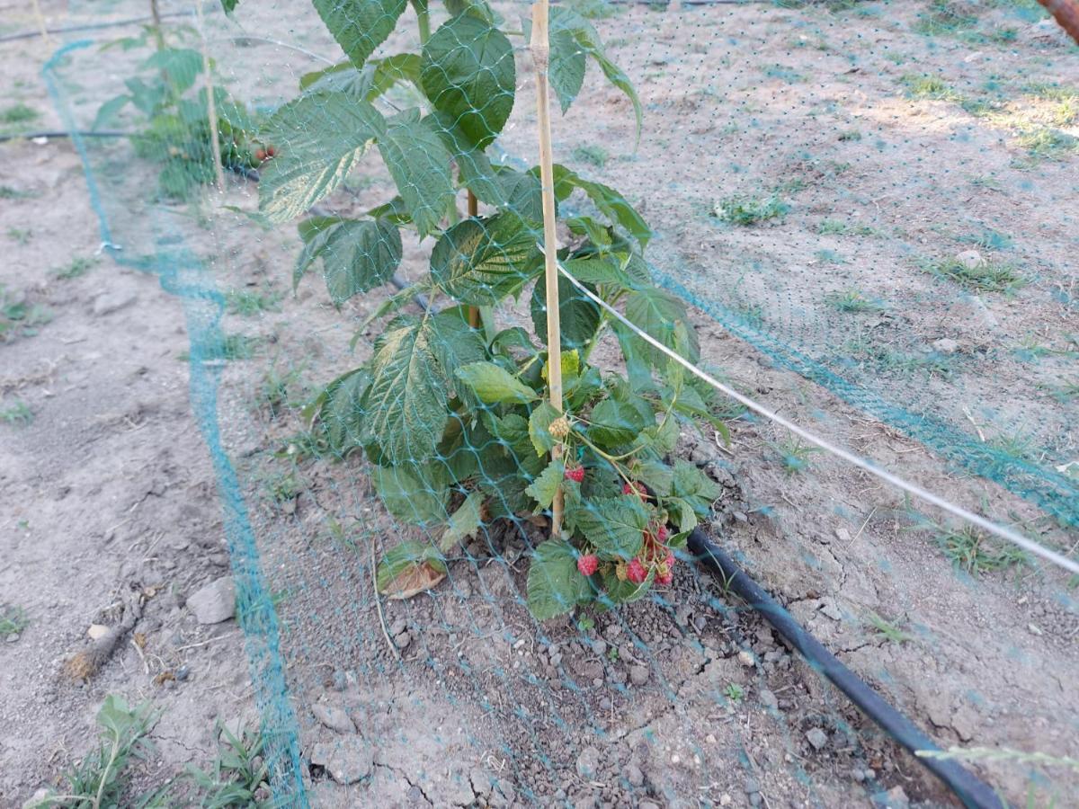 Agriturismo Pranu Sorgono Kültér fotó