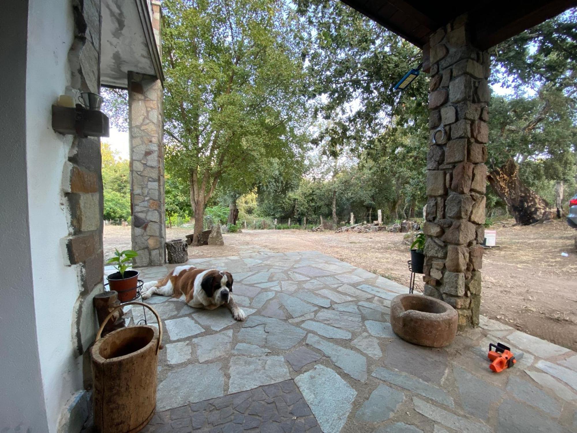 Agriturismo Pranu Sorgono Kültér fotó