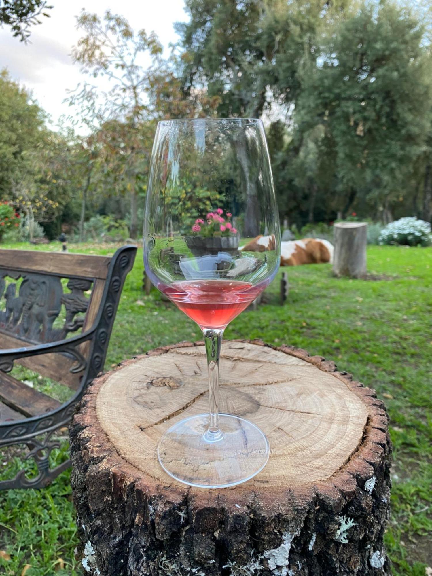 Agriturismo Pranu Sorgono Kültér fotó