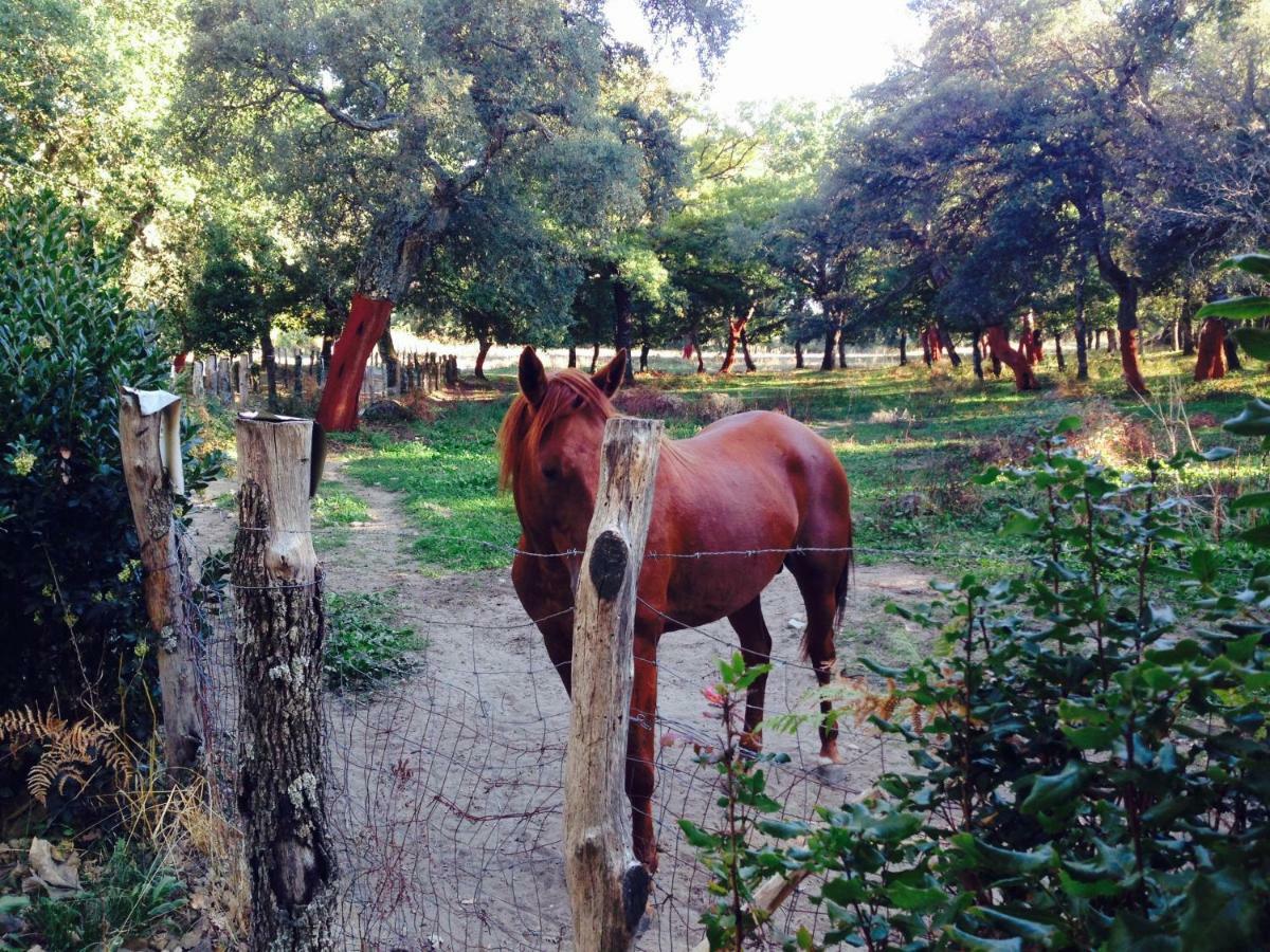 Agriturismo Pranu Sorgono Kültér fotó