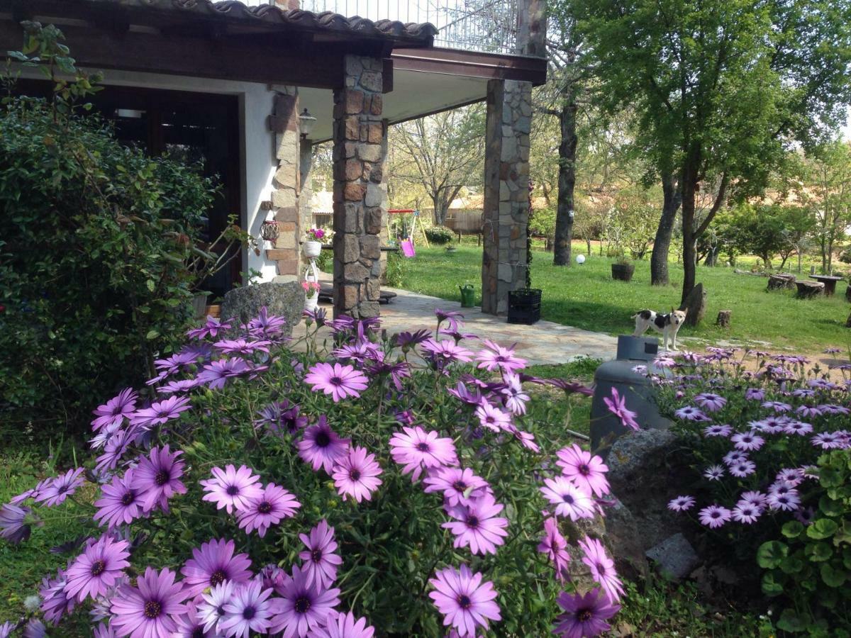 Agriturismo Pranu Sorgono Kültér fotó