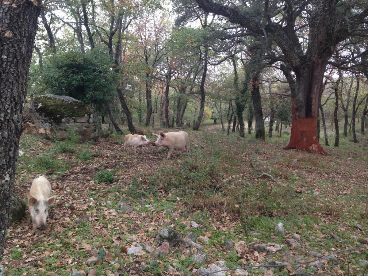 Agriturismo Pranu Sorgono Kültér fotó
